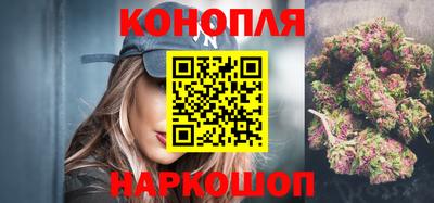 спиды Обь