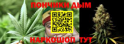 спиды Обь