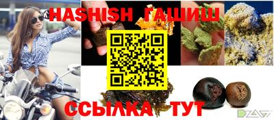 спиды Обь
