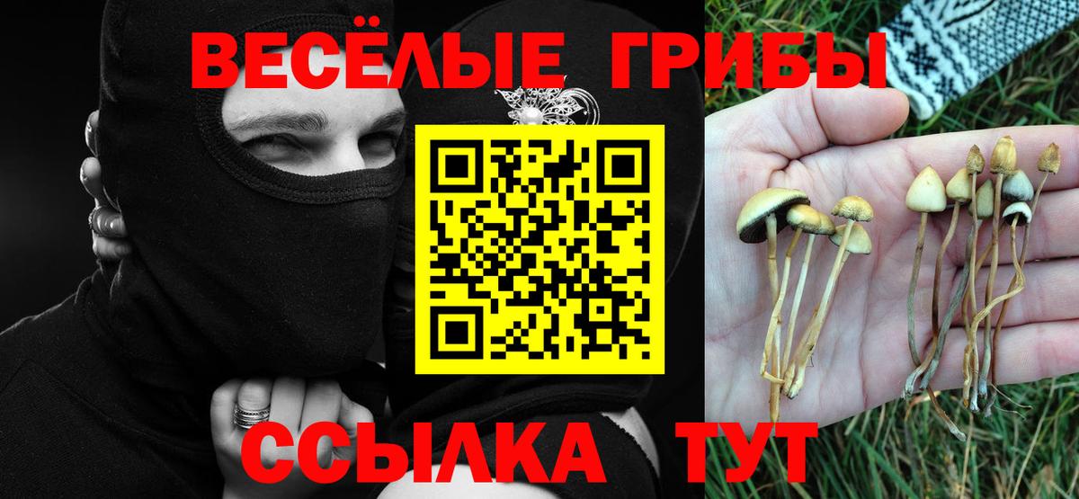 Галлюциногенные грибы ЛСД Сокол