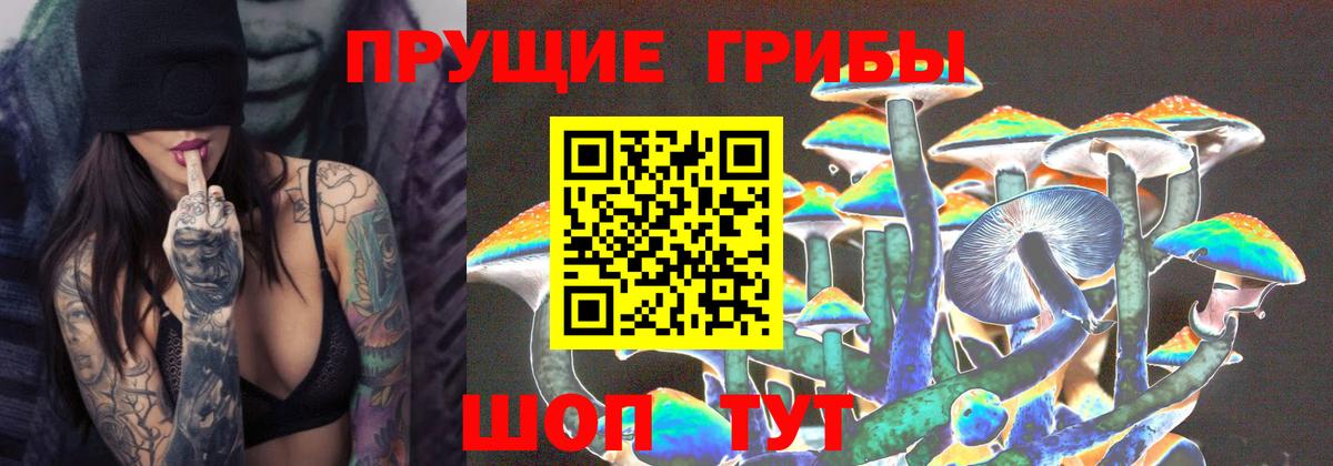 Галлюциногенные грибы мицелий  Вход с VPN  Сокол 